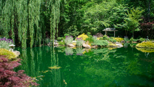 istock Pond in the beautiful garden 1472819651