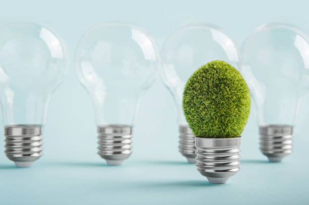 istock Environmental protection, renewable, sustainable energy sources. Transparent light bulbs with one different idea on green background. Plant growing in the bulb concept 1472819774