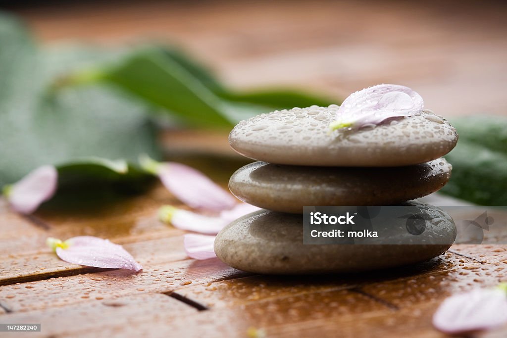 wellness Stones with flower petals and water drops Alternative Therapy Stock Photo