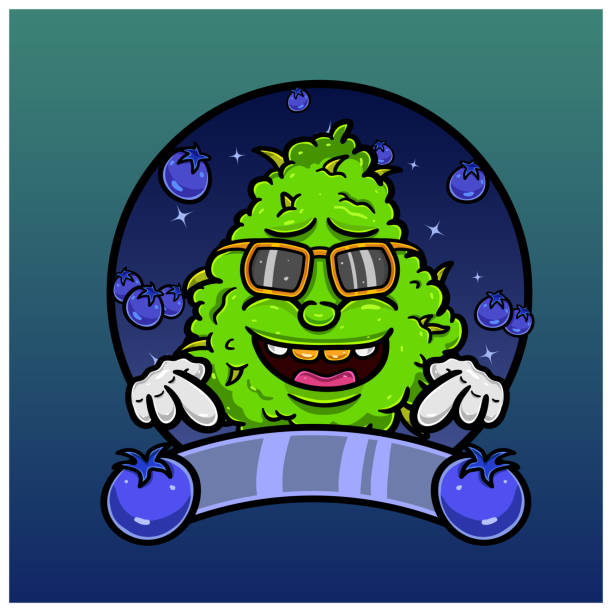 Weed Bud Cartoon With Blueberry Flavor. Weed Design For Logo, Label and Packaging Product. Weed Bud Cartoon With Blueberry Flavor. Weed Design For Logo, Label and Packaging Product. Vector and Illustration. bud candy stock illustrations