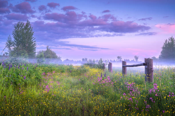 paisaje rural en primavera - resurgimiento neoclásico fotografías e imágenes de stock