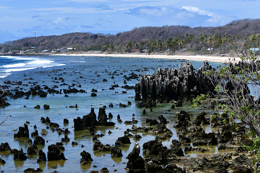 Anibare Bay, Nauru: limestone pinnacles - rock formations along Anibare beach
