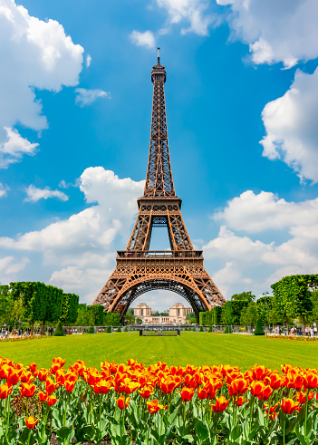 Blooming trees with iconic Eiffel Tower.