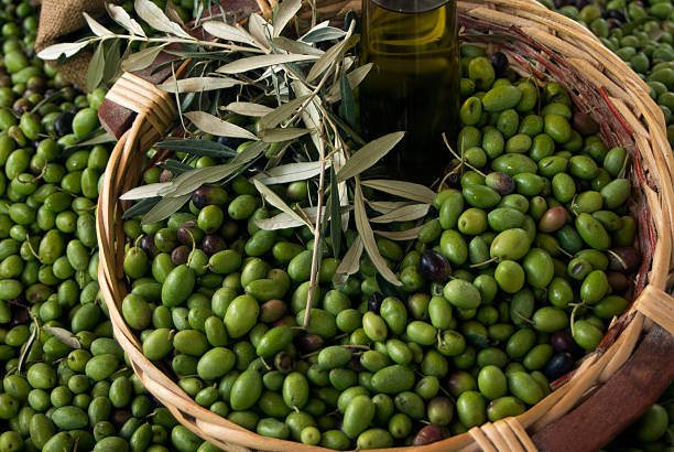 istock Basket of tuscany olives 147283597