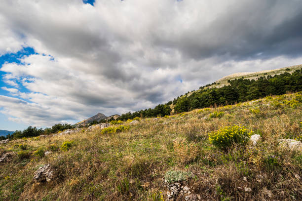 istock rural landscape on Mount Volturino, Val d'Agri, Basilicata 1472840547