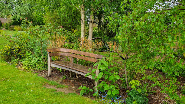 istock Bench in a lush green garden 1472843782