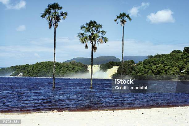 Drei Palmen Di Canaima - Fotografie stock e altre immagini di Acqua - Acqua, America del Sud, Area selvatica