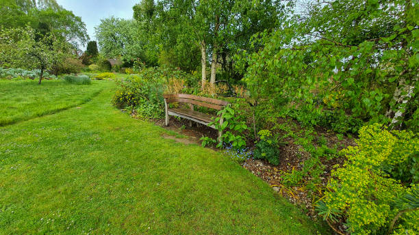 istock Bench in a lush green garden 1472843899