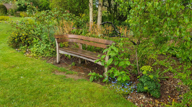 istock Bench in a lush green garden 1472843921