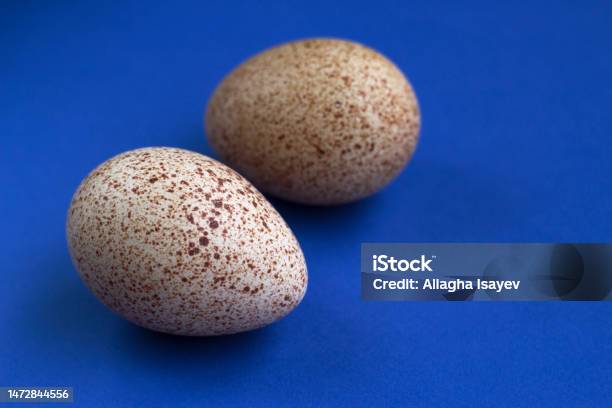 A Pair Of Fresh Turkey Eggs Stock Photo - Download Image Now - Animal Egg, Azerbaijan, Balance