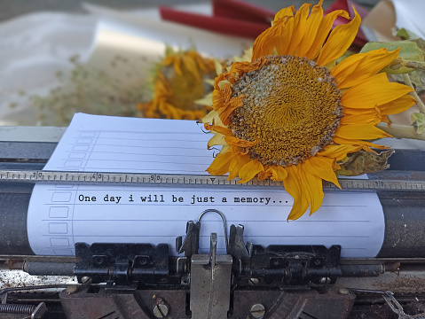 Life inspirational quote - One day i will be just a memory. With typewriting text on white line paper on an old retro typewriter and wilted sunflower vintage. Life journey and own story concept.