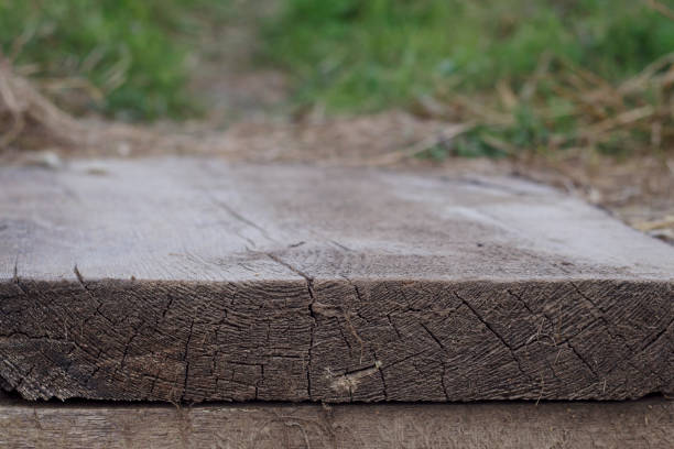 Old wooden plank in the garden. Grey textured outdoors background.