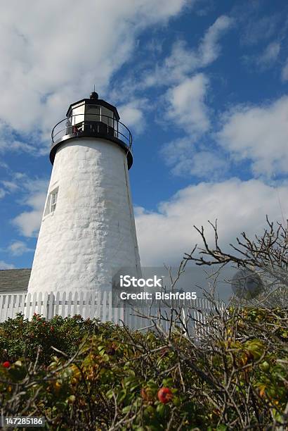 Foto de Farol De Pemaquid e mais fotos de stock de Baga - Parte de planta - Baga - Parte de planta, Cerca, Exterior