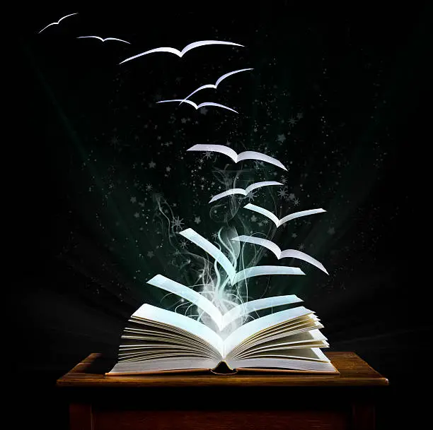 Photo of Magical world of reading                           (© Lobke Peers)