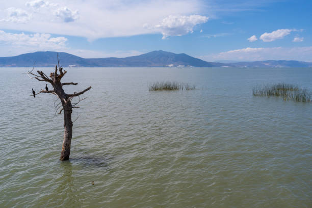 view across lake chapala and mountains on horizon from ajijic