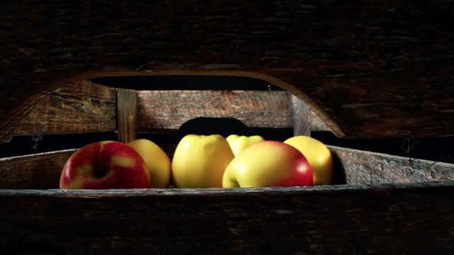 Apple harvest. close-up. Large wooden box, full of freshly harvested apples stock video