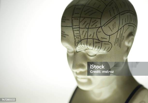 Rzeźba Phrenology - zdjęcia stockowe i więcej obrazów Głowa frenologiczna - Głowa frenologiczna, Biały, Choroba umysłowa