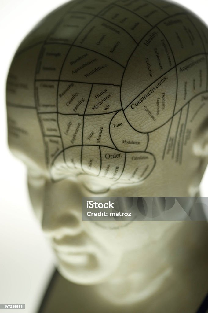 Sculpture de la phrénologie - Photo de Crâne de phrénologie libre de droits
