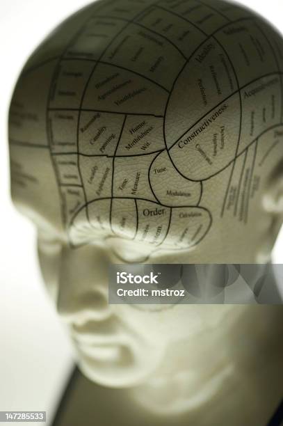 Rzeźba Phrenology - zdjęcia stockowe i więcej obrazów Głowa frenologiczna - Głowa frenologiczna, Biały, Choroba umysłowa