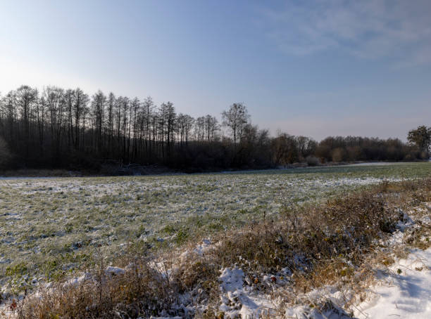 istock Grass covered with snow and ice in winter 1472861802