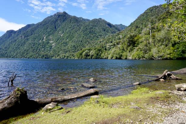 Landscape in the south of Chile View of some mountains and a lagoon in the Alerce Andino park in the south of Chile reflectivity stock pictures, royalty-free photos & images