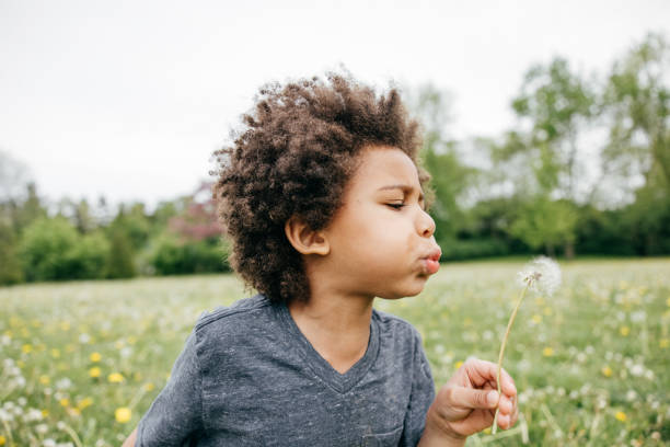 istock Boy blowing seeds off a dandelion, close up, side view 1472865357