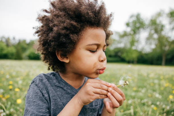 istock Boy blowing seeds off a dandelion, close up, side view 1472865358
