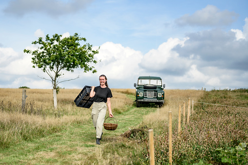 Full length candid portrait of organic farmer smiling at camera while approaching on grassy path with containers for fresh produce.