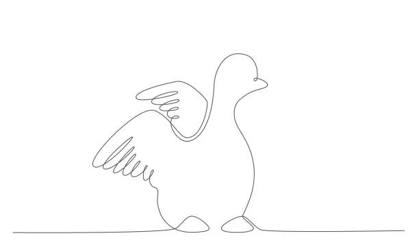 Single Line Vector Bluebird 120+ Bluebird Logo Stock Illustrations, Royalty-Free Vector Graphics ...