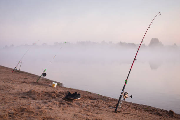 釣り。朝の風景