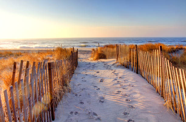 istock Ponquogue Beach in the Hamptons 1472867424