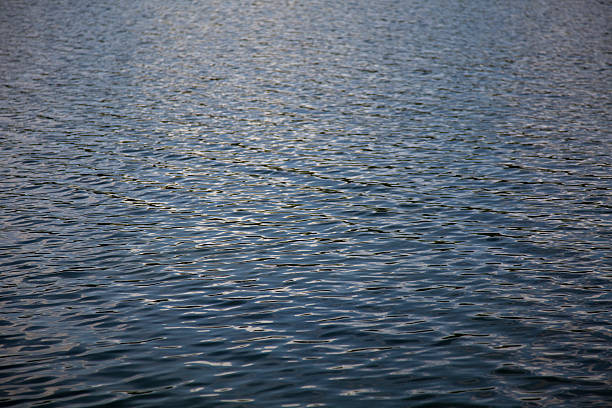 istock Rippled surface of a northern lake. 147286826