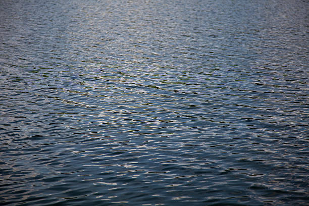 Rippled surface of a northern lake. stock photo