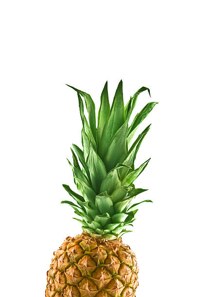 ananas - pineapple sour taste full tropical climate zdjęcia i obrazy z banku zdjęć