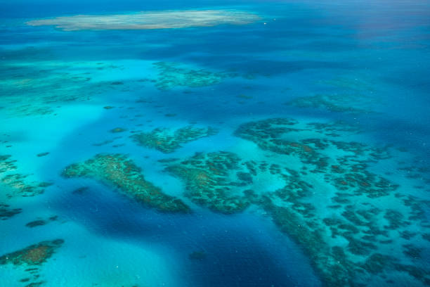 widok z lotu ptaka na rafy koralowe i turkusowe wody wielkiej rafy koralowej — morze koralowe, cairns, far north queensland, australia - 2519 zdjęcia i obrazy z banku zdjęć