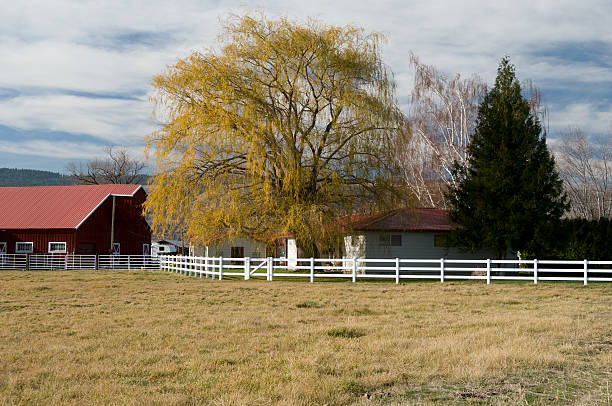 istock Autumn on the Farm 147287207