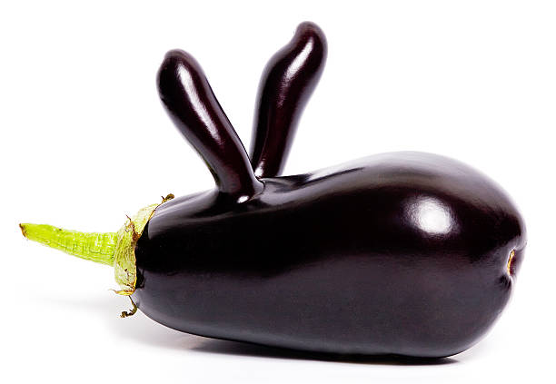 Bunny "Aubergine - Photo