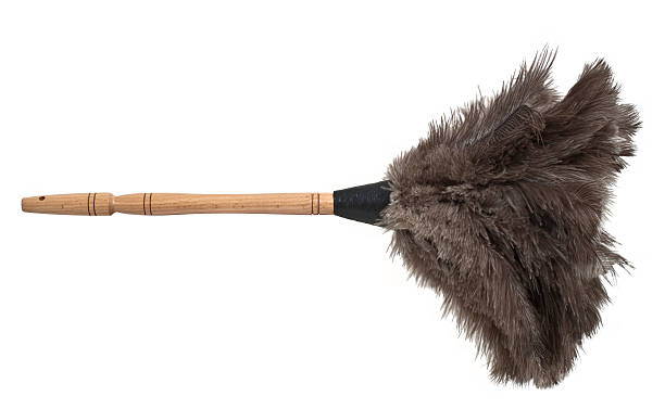 Feather duster isolated Isolated feather duster with wooden handle dusting stock pictures, royalty-free photos & images