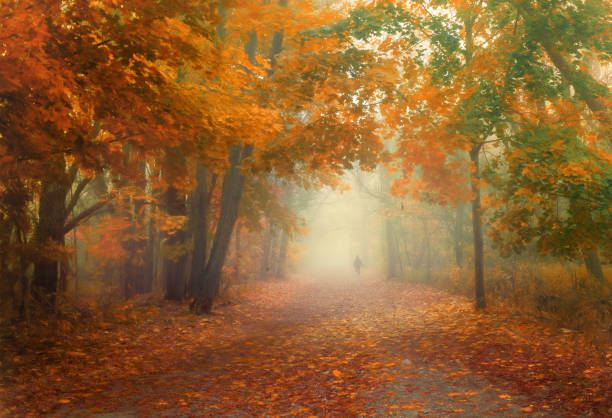 istock Autumn fog 1472878275