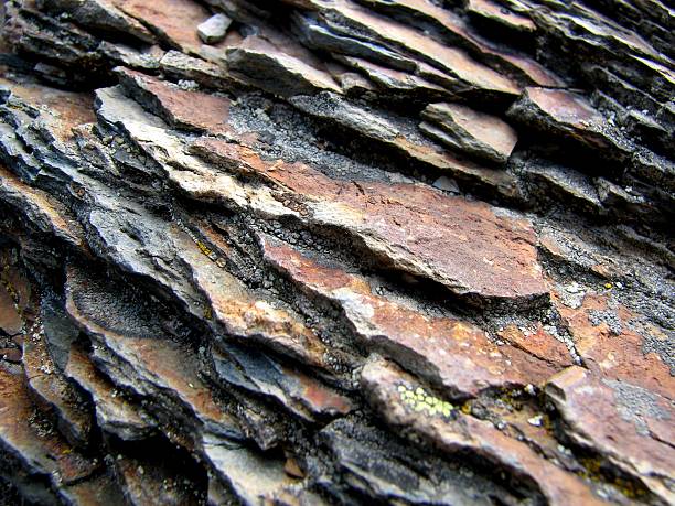 shale rock cross-section shale rock cross section macro photograph shale stock pictures, royalty-free photos & images