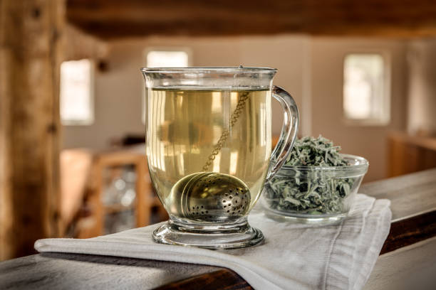 Estafiate herb tea, Artemisia ludoviciana stock photo