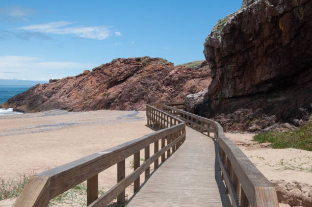 istock Wooden walkway on the beach 1472885828