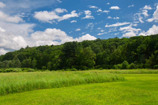 istock sunnybrook state park summer landscape 1472885902