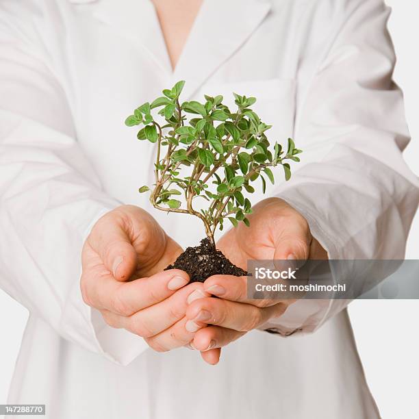 Foto de Auxiliar De Saúde e mais fotos de stock de Doutor - Doutor, Plantar, Ambientalista