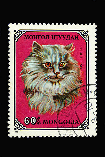 istock Mongolian postage stamp with blue-cream Persian cat 147289422