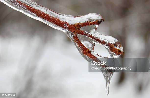 Icicles 냉동상태의 한 지점 0명에 대한 스톡 사진 및 기타 이미지 - 0명, 겨울, 계절