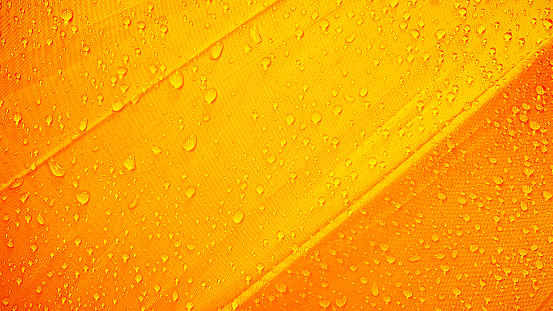 Orange water drops background