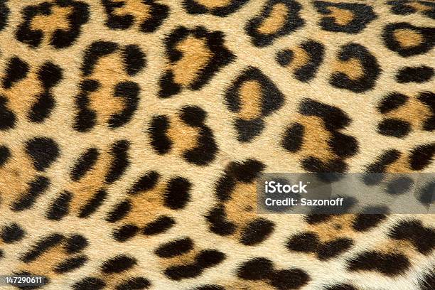 Foto de Textura De Pele De Leopardo e mais fotos de stock de Tapete - Tapete, Tropical, Amarelo