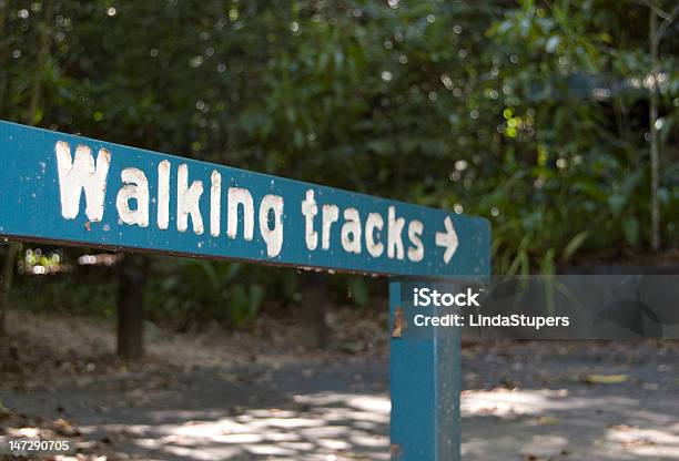 Photo libre de droit de Panneau De Signalisation De Sentier De Randonnée De La Daintree Np Australie banque d'images et plus d'images libres de droit de Randonnée pédestre