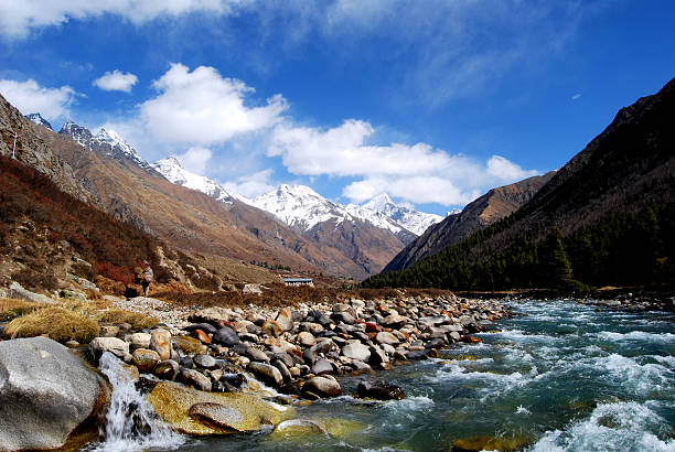 istock Beauty of Himalaya 147290986